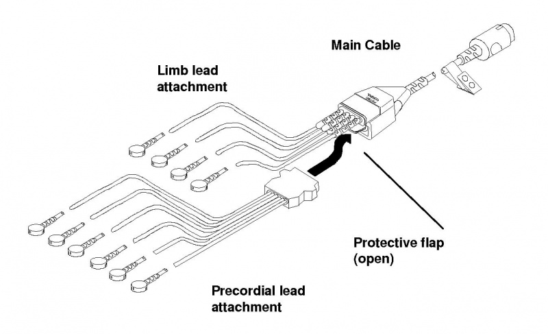 File:Cardiac 12 Lead Cable.jpg